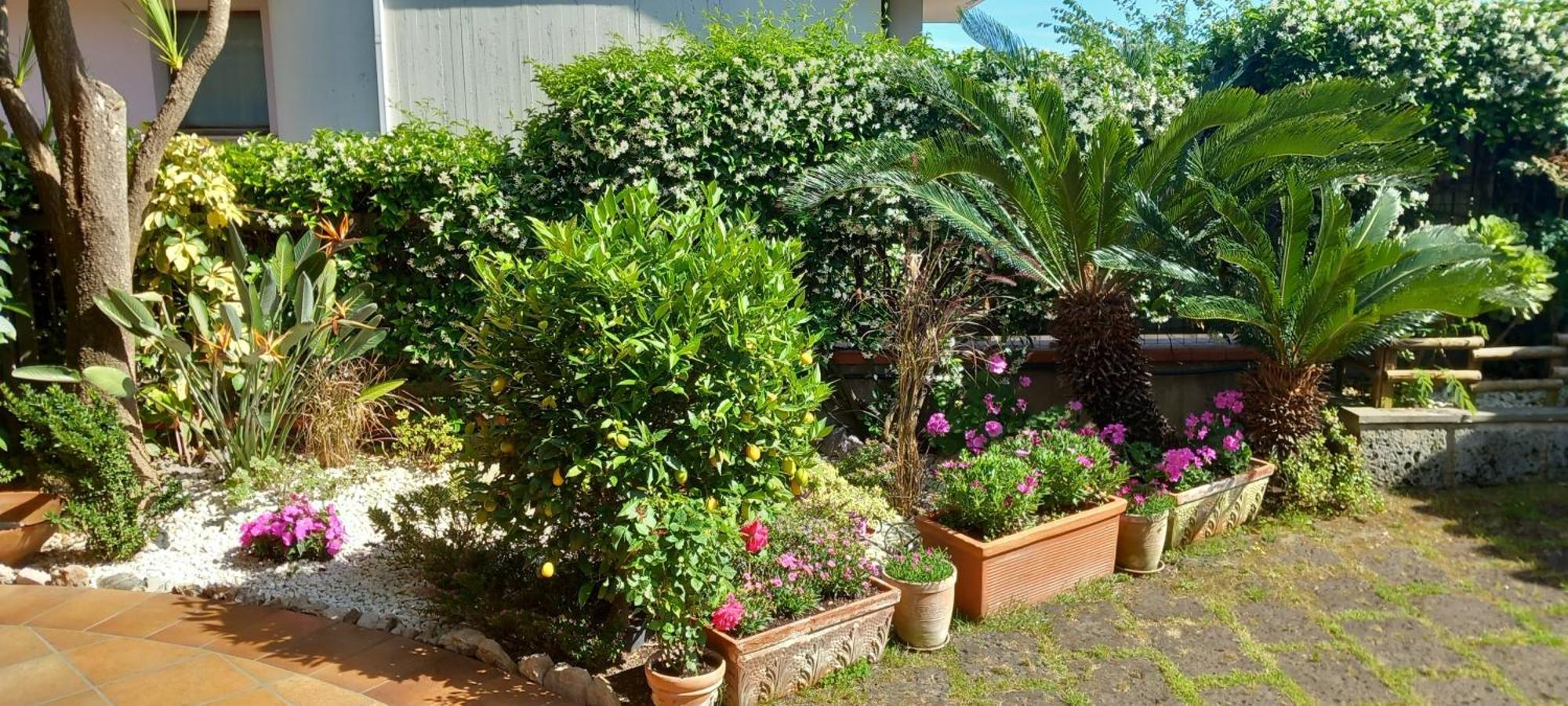 B&B Villa Noemi 福尔米亚 外观 照片